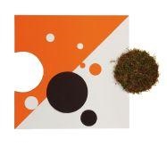 Sans titre - Vincent Scali