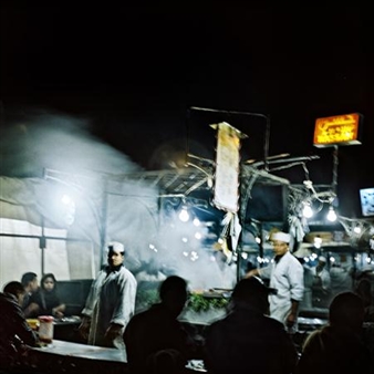 Alnis Stakle - Thicket - LNMM, Exhibition Hall ARSENALS