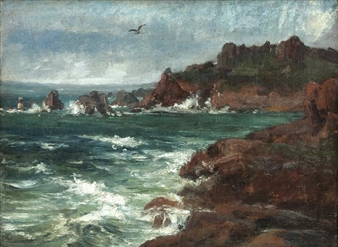 Rocky coastline with seagull - Wilhelm Riedel