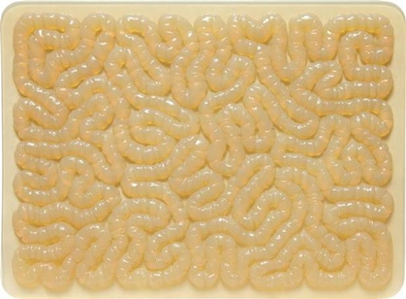 Rubber Mat by Mona Hatoum, 1996