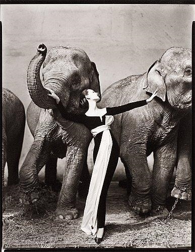Dovima with Elephants, Evening Dress by Dior, Cirque d'Hiver, Paris by Richard Avedon, 1955