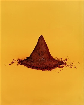 AA Bronson, Michael Bühler-Rose: The Botanica - Nature Morte, Berlin