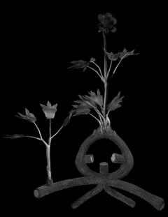 Miljohn Ruperto/Ulrik Heltoft: Voynich Botanical Studies - Thomas Solomon Gallery