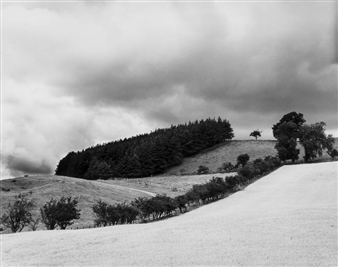 Brandon, Northumberland - Isabella Jedrzejczyk