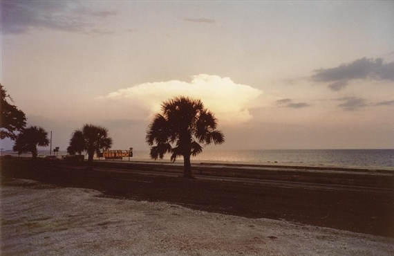 Untitled 1980 by William Eggleston, Printed 1980s