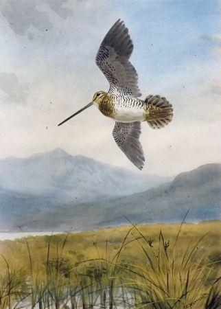 J.C. Harrison 62 Artworks at Auction MutualArt
