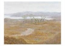 Wish by Yoshinobu Minami