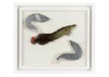 Kazumi Katsuzaki | Ancient fish | MutualArt