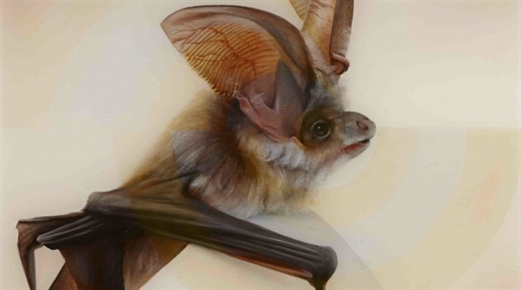 Sam Leach: DYMAXION - Sullivan+Strumpf, Sydney