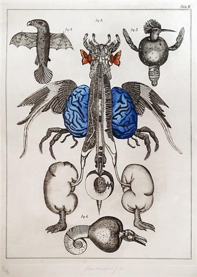 Jan Švankmajer | Untitled (Frog) (1973) | MutualArt