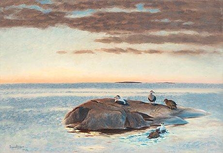 Common Eiders on a rock