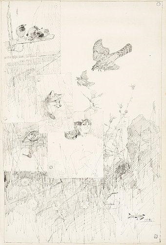 Djurstudier (Wildlife studies)