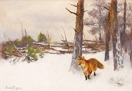 Fox in winter landscape.