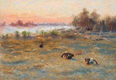 Blackcock's courting