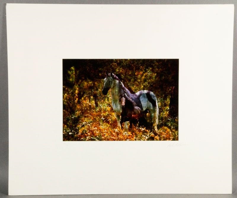 Horses in Field by Robert Vavra
