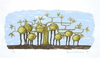 6 Works: Topfruit; Observer - David Harding