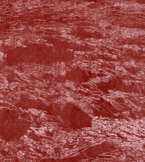 7 Works: 5 Impressions by Franz Gertsch, 1997