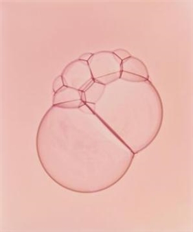 Untitled - David Fried