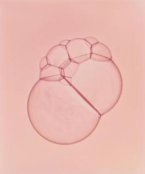 Untitled - David Fried