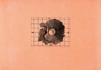 Dieter Roth | Insel (1966) | MutualArt