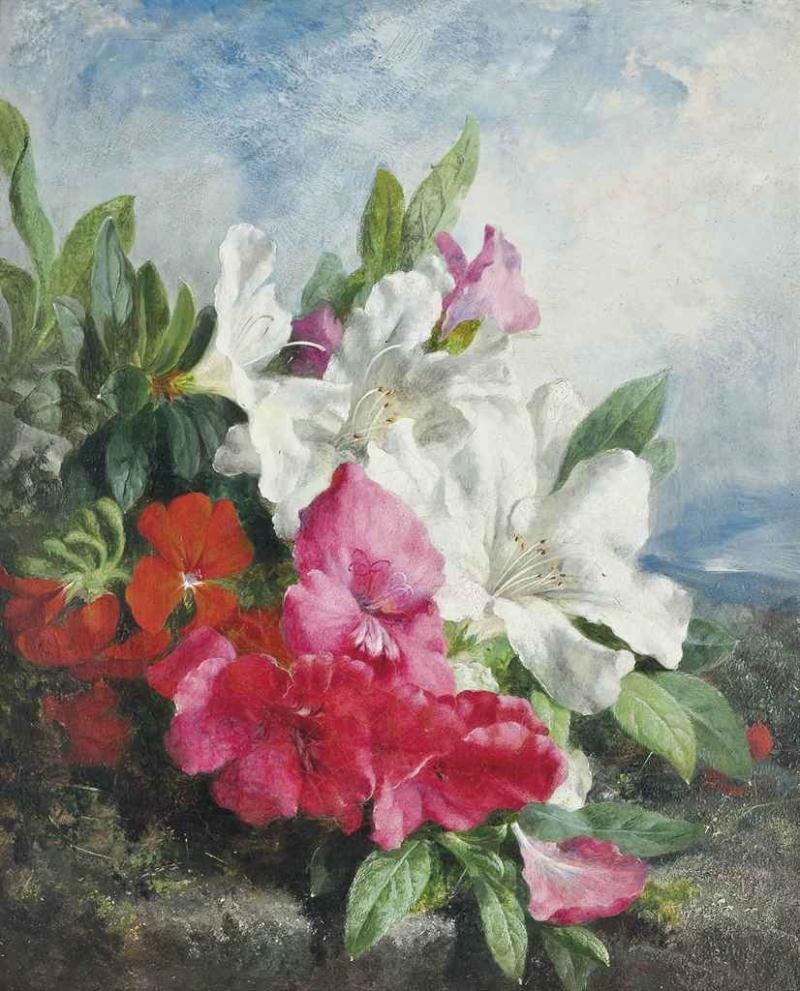 Artwork by Martha Darlay Mutrie, Rhododendrons, Made of oil on board