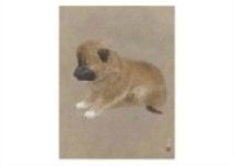 June - Toshihisa Huruta