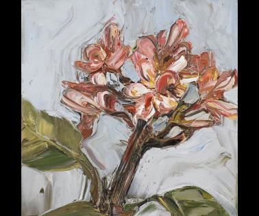 PINK FRANGIPANI (2) by Nicholas Harding, 2003