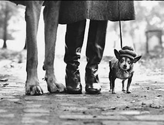 Elliott Erwitt - Galerie Frédéric Got