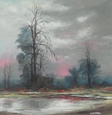 Evening sun in a country landscape - Terry A. Pegg