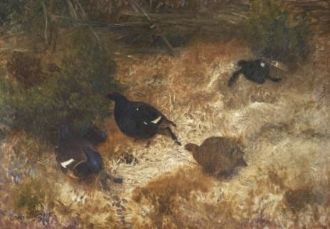 Orrspel by Bruno Liljefors, 1913