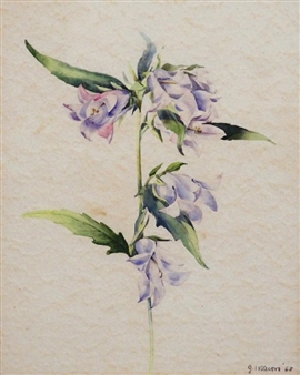 Bells - Gertruda Istlerová