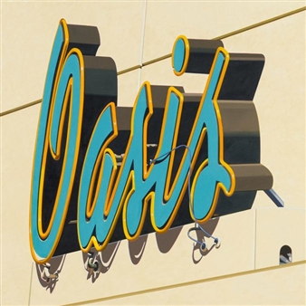 Singular Vision - Forum Gallery