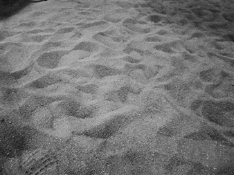 Landscape: A Story of Rehabilitation - Balzer Projects