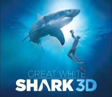 Great White Shark 3-D - The Field Museum