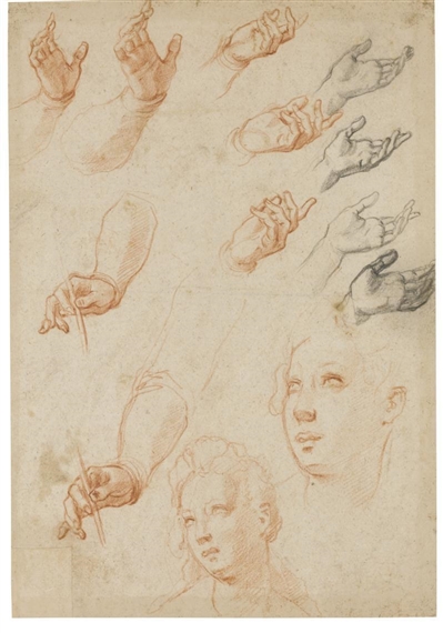 Studies of Hands and two Separate Studies of a Female Head by Jacopo Chimenti