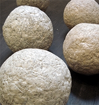 CHICK LIT - Tracy Williams 