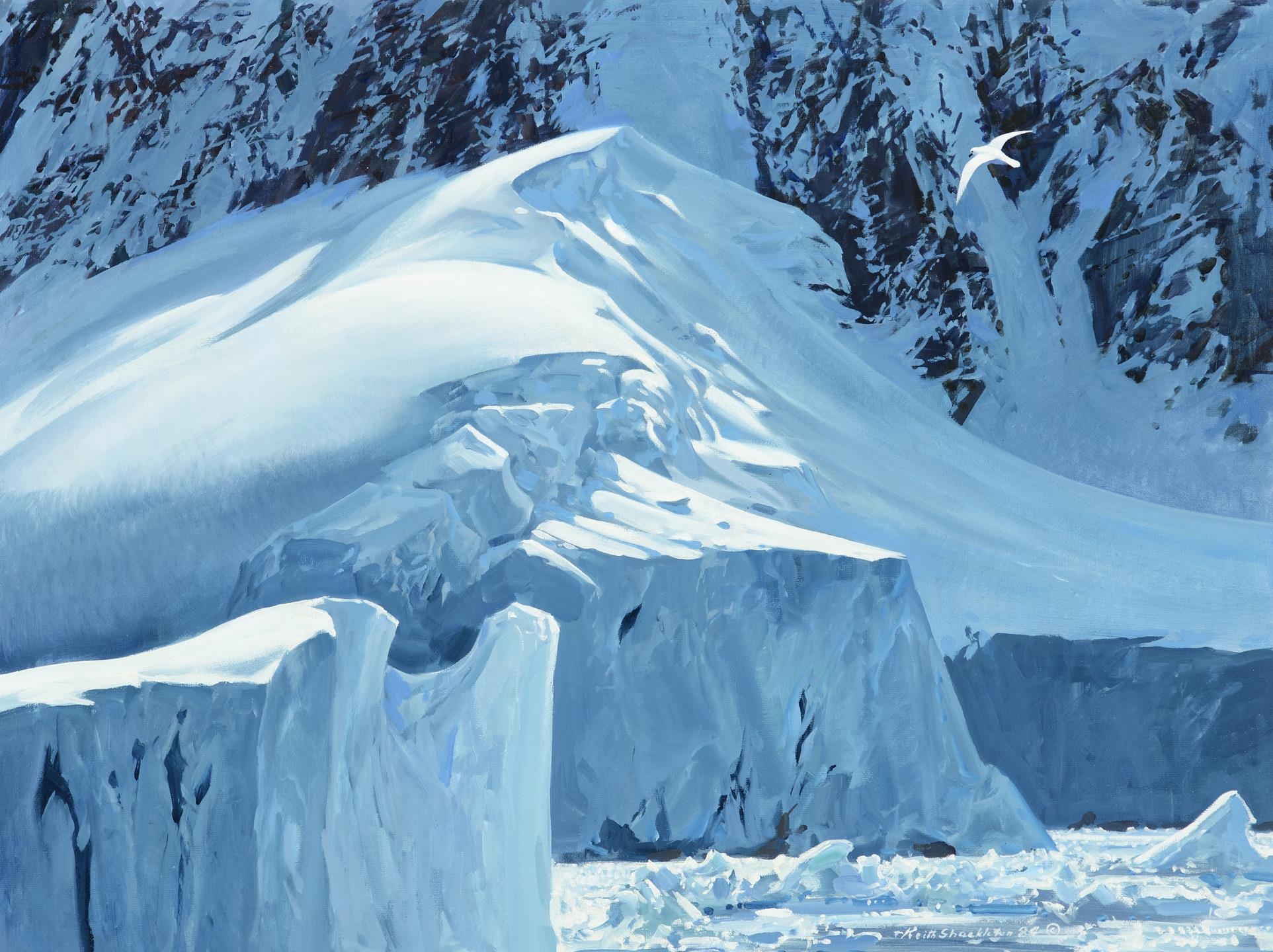 Keith Shackleton | On the Graham Coast, Snow Petrel | MutualArt