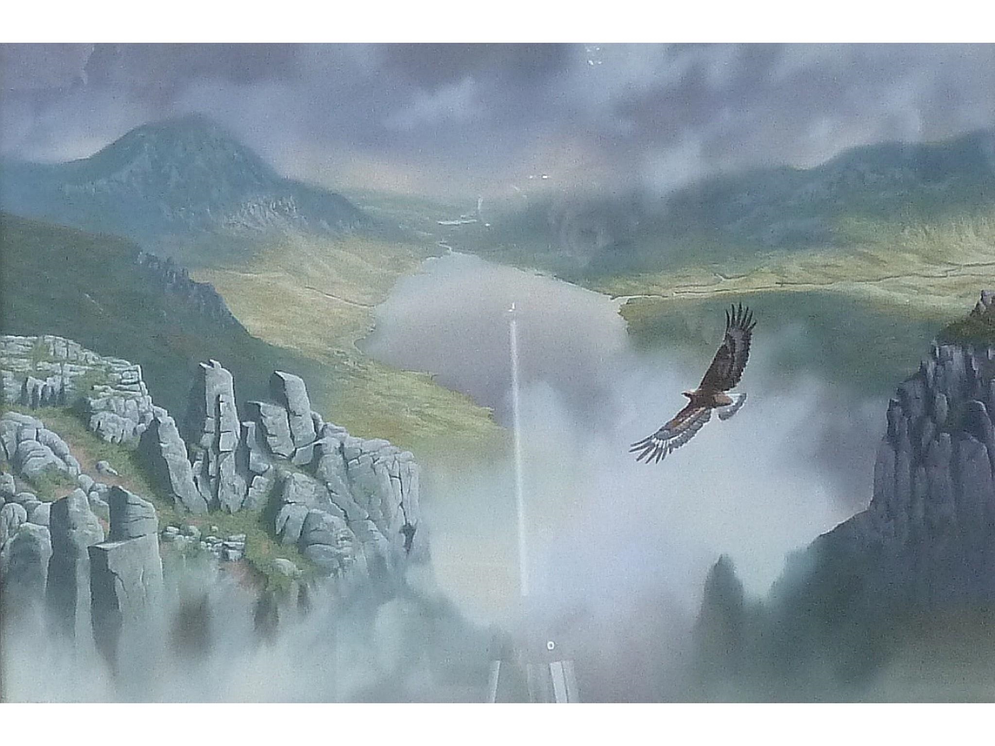 Adrian Rigby | an eagle soaring over crags | MutualArt