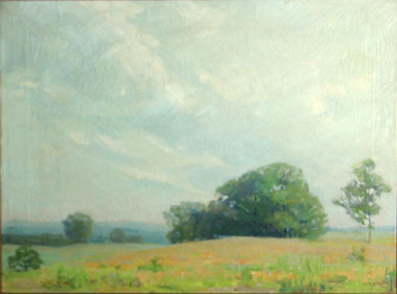 Artwork by Irma René Koen, Meadow with trees under cloudy skies, Made of oil on canvas