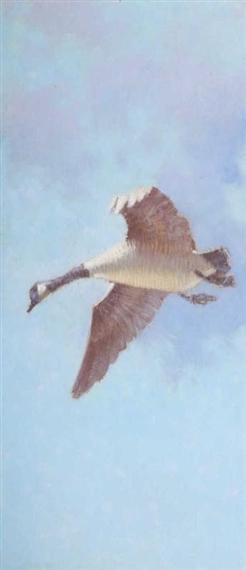 Canada Geese Triptych by Reginald F. Bolles