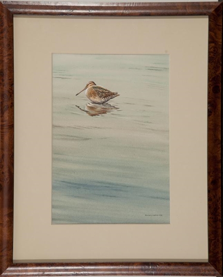 Sleeping Snipe by Michael J. Loates, 1981