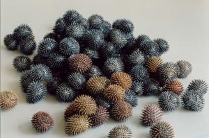 Philippe Droguet - Lyon Museum of Contemporary Art