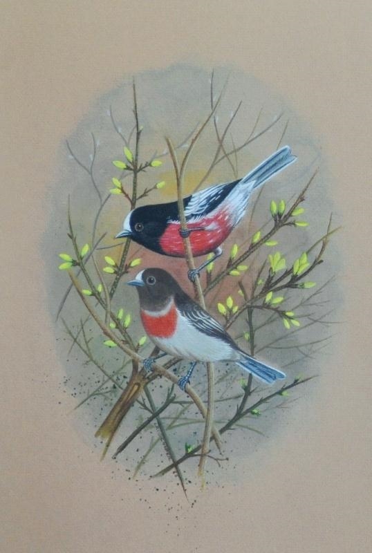 Artwork by Eric Cooper, Scarlet Robins, Made of Gouache