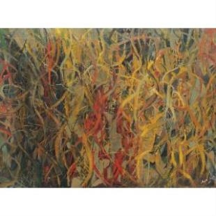 Section through fertile lands - Rum Nuţiu