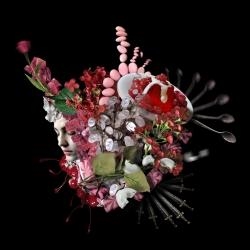 Margarita Dittborn: Port of Hunger  - Connoisseur Art Gallery