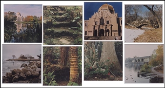 EIGHT PHOTOGRAPHS OF GARFIELD PARK, CHICAGO - Frank Dina