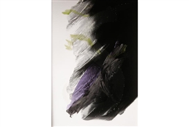 Exhibition of new black and white Abstract Expressionist oil paintings by Lilly Fenichel opens