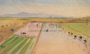 Seeding by Qin Xuanfu, 1964