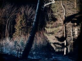 UNTITLED - Lorie Novak