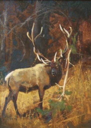 Sapling by Luke Frazier